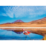  Chile the Best: The landscapes and Gourmet VIP food experience in Atacama
